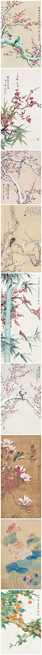 中国风之国画 · 邓白_花鸟作品，栩栩如生，境意自在！