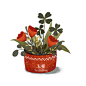玉煌-花卉植物插画 扁平绘本风 红色花盆