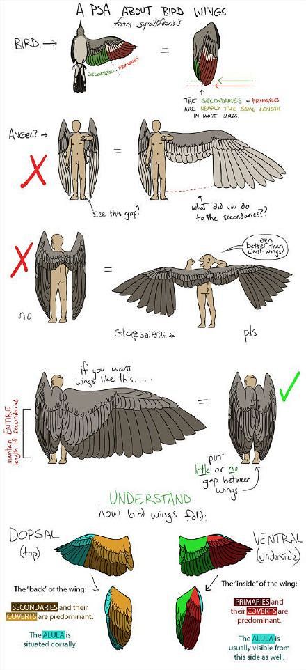 #SAI资源库# 翅膀样式参考，包含天使...