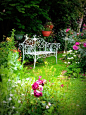 Lovely Garden bench from The Cottage Garden.