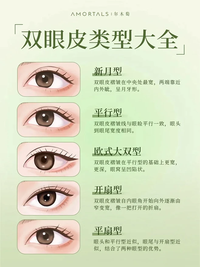 自存双眼皮形状大全你适合哪一种❓