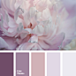Color Palette #1400 | Color Palette Ideas : Color Palette #1400 inspires you to decorate your house, flat, bedroom, kitchen, living room, bathroom and even wedding with our color ideas.