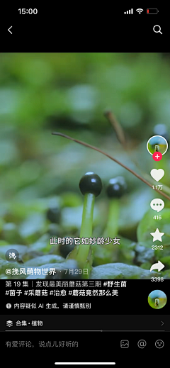 8ZzwQUPy采集到自然万物植物动物