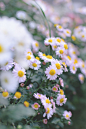 (64) Tumblr