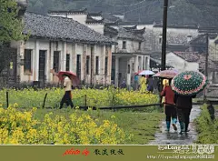 梦回晓起 田园诗境 婺源, 夏小暧m旅游攻略