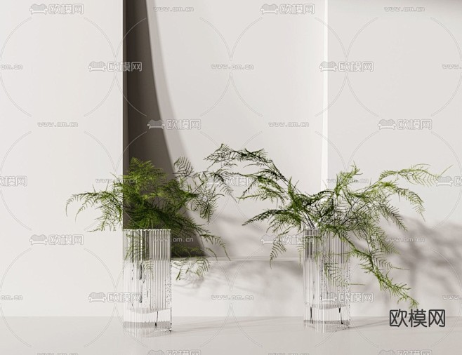 现代花瓶植物文竹3d模型下载_ID：11...