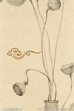 嘿啊一采集到水墨莲花