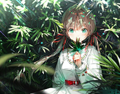 K-Ray采集到二次元少女