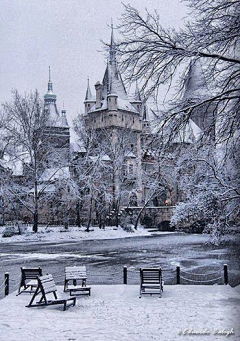 洫脃汐陽采集到雪景