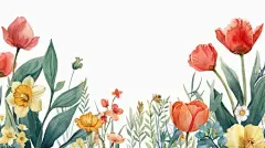 点击来源直接获取大图文件 |在白色背景上充满活力的水彩插画，描绘了各种盛开的花朵，以郁金香和其他五彩斑斓的花朵为特色