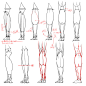 素材合集绘画专用人体解剖系列 296P 动作姿势骨架素描参考资料
