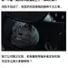 千万不要用猫设置手机解锁密码.............................