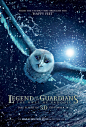 猫头鹰王国：守卫者传奇 Legend of the Guardians: The Owls of Ga'Hoole (2010)