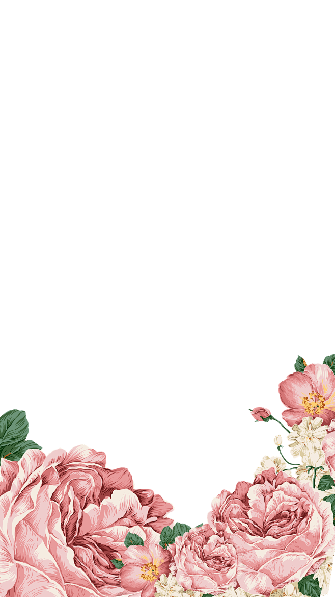 牡丹花
