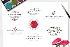 英文草书字体&amp;手绘水彩纹理/Logo模板 Blush Typeface + Logo Kit (AI) - 设汇