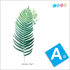 ooooooo·采集到文艺植物插画