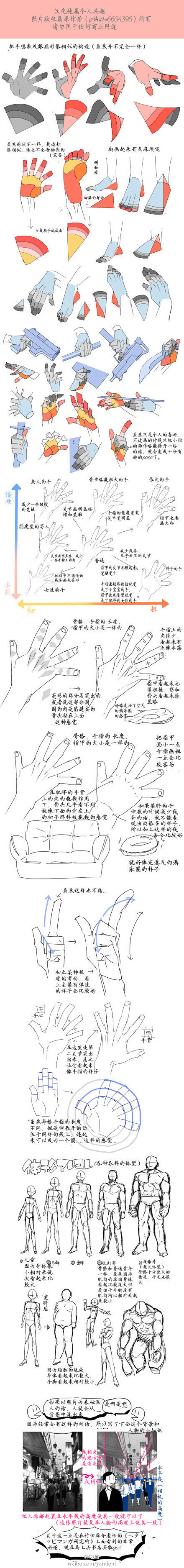 【绘画教程】人体结构和手的动态研究和分析...