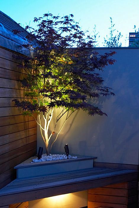 20 Dreamy Garden Lig...
