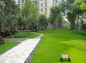 小区园路植物景观