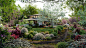 北美家挺园艺植物3D模型 Bundle 27 North American Home & Garden 01