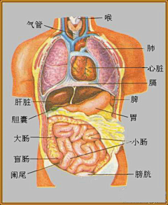 虎丫采集到生活常识