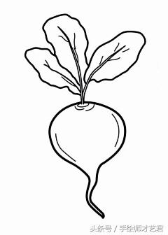 几十张高清常见瓜果蔬菜白描线稿素材 一次画个够