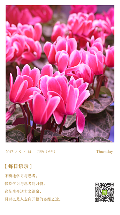 蓝(设计)采集到卒子科技作品