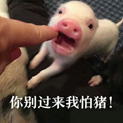 陈天浩灬采集到♥︎