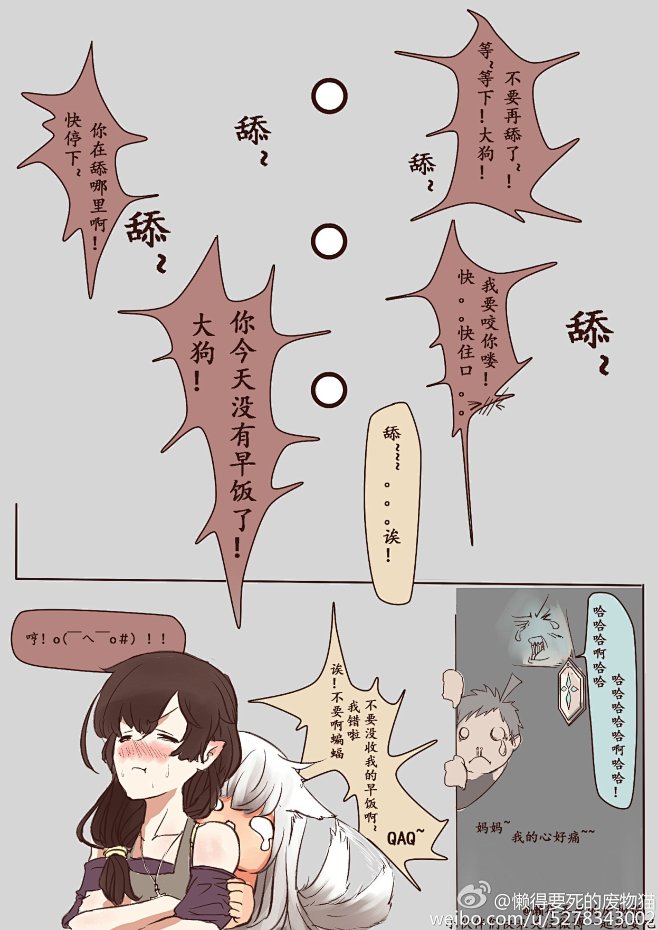 伊丽傻白是只猫的照片 - 微相册