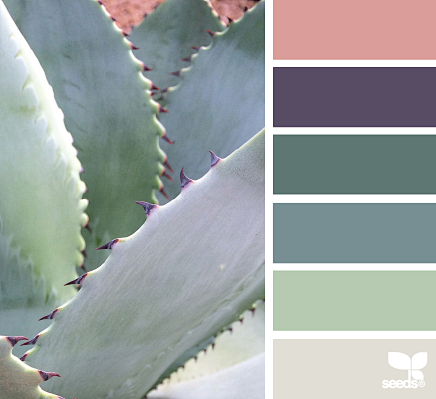 succulent hues