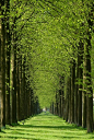 一起去旅行荷兰赫特鲁的“绿色通道”。希望是坚韧的拐杖，忍耐是旅行袋，携带着它們，人可以登上永恒之旅。（罗素）