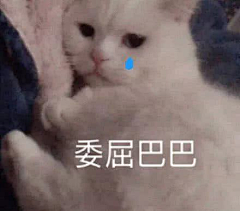 ツ追采集到表情