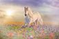 Horse, Flowers, Digital Background, Fantasy, Field