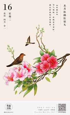 小尾巴2014采集到画画草草