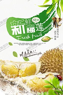 榴莲促销宣传海报 【酷图网】榴莲,水果店,榴莲海报,手绘榴莲,榴莲促销,榴莲插画,泰国榴莲,金枕榴莲,卡通榴莲,水果榴莲,新鲜榴莲,金枕头榴莲,