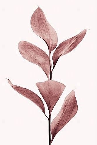 Pin page