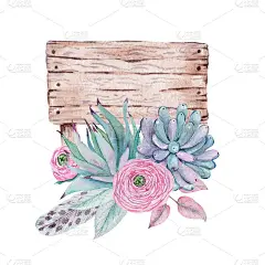 可爱的水彩手绘插图多肉孤立在白色的背景，为情人节贺卡，婚礼卡，浪漫的印刷品和剪贴簿。