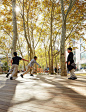 Blake Hobbs Play-za : Located in the heart of East Harlem, a neighborhood with one of the highest concentrations of public housing in the city, Blake Hobbs Play-za unites a divers...