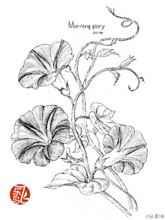 无尘月采集到花湖