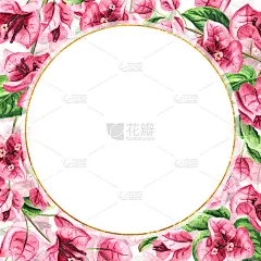 粉红九重葛与花和叶的卡片与复制空间，手绘水彩插图，孤立在白色背景