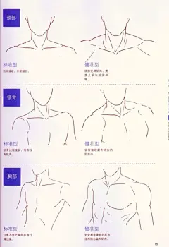 #技巧 #人体结构