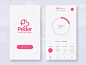 Peder - Smart Pet Feeder