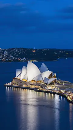 ＠大圣中的战斗菊#唯美#壁纸#手机壁纸#电脑壁纸#风景#城市