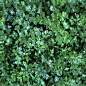 material_7