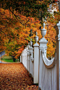 Autumn Fence, Woodstock, Vermont