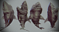 Shark, mark whitcombe : A shark with a big head, and a few scars.