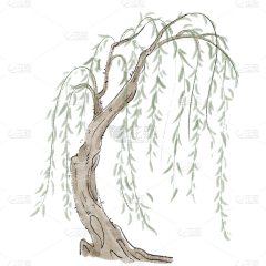 不是花画采集到花草植物