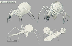 ART-man0530采集到9动物昆虫
