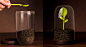 Sprout Jar : Welcome nature into the comfort of your home with Sprout Jar, the seasoning container. Simply open the lid of the dome and fill it with ground coffee, tea leaves, beans, or any preferred seasoning of your choice. The little sprout stands tall