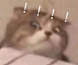 来自分享